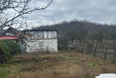 Casă cu 2 camere în Cocu - 5