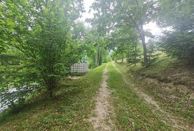 FILM! Oaza paradisiaca cu lac, vedere catre Bucegi, Glajerie/ Rasnov, pretabil C - 38