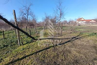 Casă cu 5 camere cu Teren 2158 Mp în Freidorf - 6