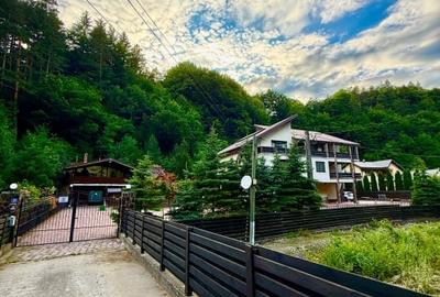 Casa de vacanta sau pensiune | Batca Doamnei | Teren in natura