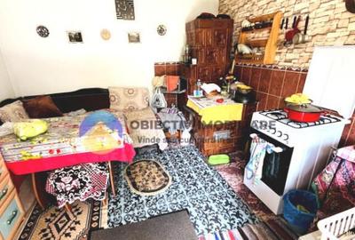 CASA + HALA comuna ALEXANDRU cel BUN - 11
