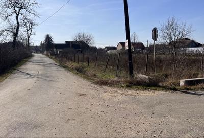 Spațiu comercial, în Borș - 5