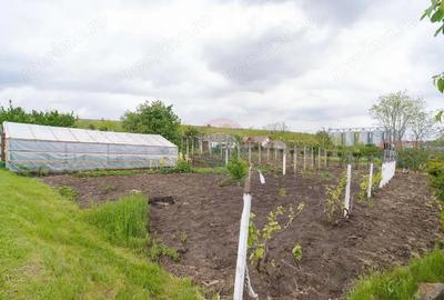 Casă cu 10 camere cu Teren 10116 Mp în Todireni - 10