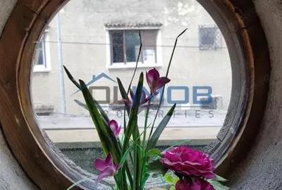 Inchiriere vila cu personalitate zona Tudor Vladimirescu - 3