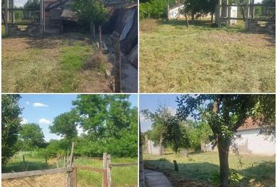 Casă cu 3 camere cu Teren 1200 Mp în Central - 2
