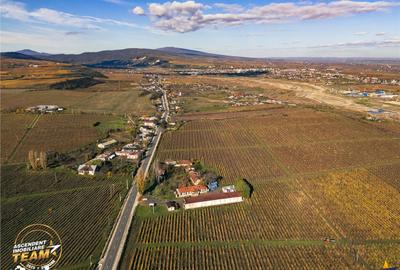 Teren de 4000 mp, în Vârteșcoiu - 16