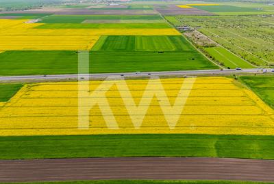 Teren agricol extravilan de 10600 mp, în Codlea - 14