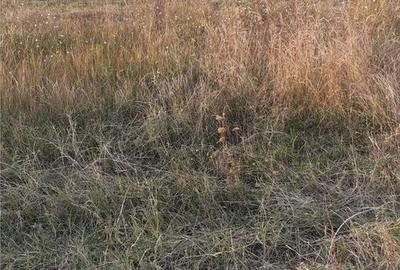 Spațiu comercial, în Berceni