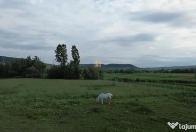 Teren de 3953 mp, în Fălticeni - 4