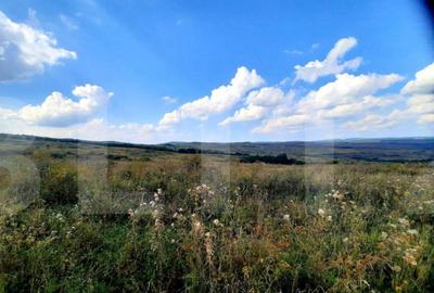 Teren intravilan de 5800 mp, situat in Padureni - 11