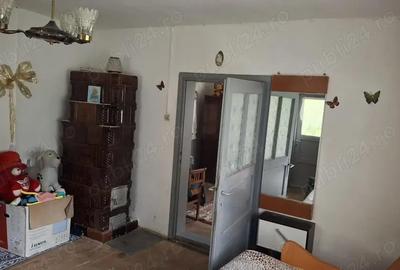 Casă cu 3 camere cu Teren 1525 Mp în Tarcău - 9