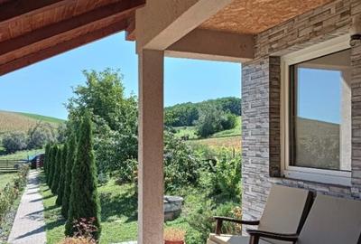 Casa de vacan?a in Ludu?, zona Candarai intre Cluj ?i Tg-Mure? - 2