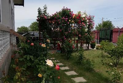 Proprietar, parter la casa cu etaj, Mogosesti - Iasi, 10 km Proprietar, parter la casa cu etaj, Mogosesti - Iasi, 10 km - 6