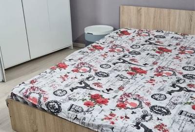 Casă cu 3 camere cu Teren 100 Mp în Antiaeriană - 4