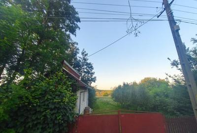 Casa individuala, 3500mp teren, zona Negostina, Siret - 4