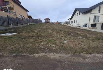 Spațiu comercial, în Chinteni - 5