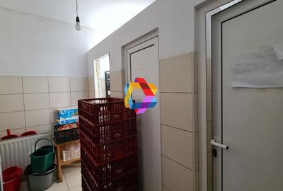 Spatiu comercial - 567 mp - 10