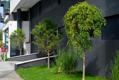 Apartament cu 3 camere decomandat în Faleza Nord