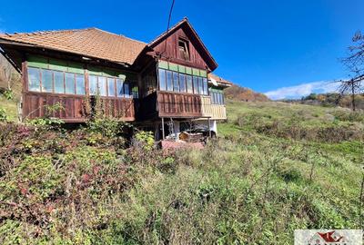Casa de vanzare in Trampoiele (Zlatna) - 3
