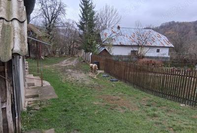 Casa cu 1000 m2 teren, 40 km Sinaia, 15km Pucioasa - 6