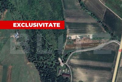 Teren extravilan 5996 mp, zona Valea Sasului - Teius - 1