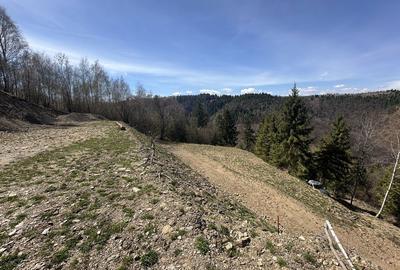 Spațiu comercial, în Mărișel