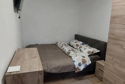 Apartament cu 2 camere semidecomandat în Dacia - 8