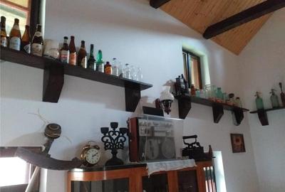 Casă cu 3 camere cu Teren 10 Mp în Merișoru - 5