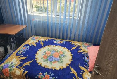 Apartament cu 3 camere decomandat în Ostroveni - 2
