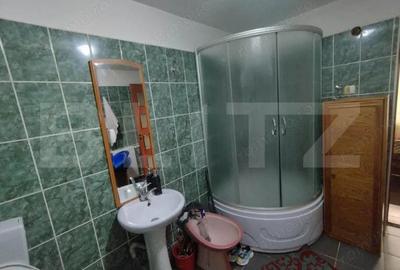 Casa individuala 5 camere, 198 mp, 250 mp teren, langa Parc - 11