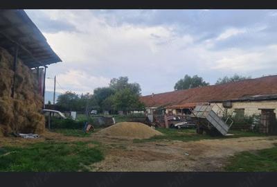 Spațiu comercial, de 1,000 mp, în Central - 6