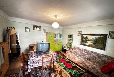 Proprietate cu 2 case, teren 2ha, zona Zlatna - Muntii Apuseni - 5