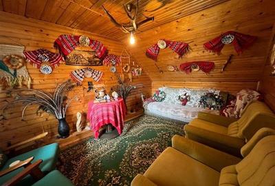 Armonia traditiei si comoditati: Rezidenta aparte in aria Centrala - 3