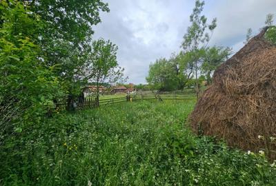 TEREN VANZARE VALEA DOFTANEI - 4