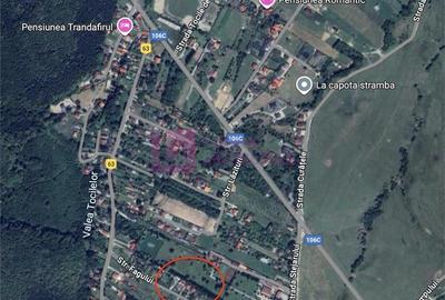 Teren 500 mp in Tocile | intravilan | cu livada - 4