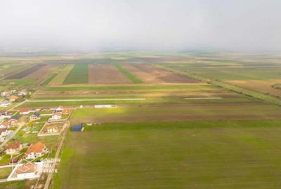 Parcele de 500 mp in Livada, cu toate utilitatile la strada Parcele de 500 mp in Livada, cu toate utilitatile la strada - 4