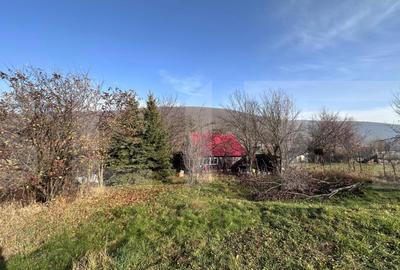 Casa de vacanta in Lisnau - Comuna Ozun - 2