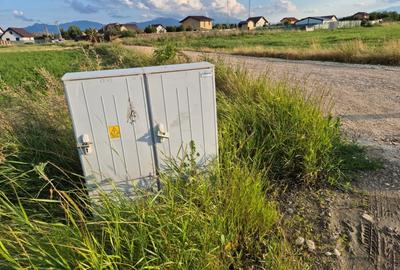 Teren 10.000 mp str. Lalelelor, Bod, Brasov pentru case - 5