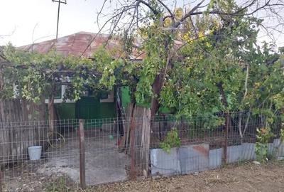 Vand casa in Teleorman, sat Albeni - 4