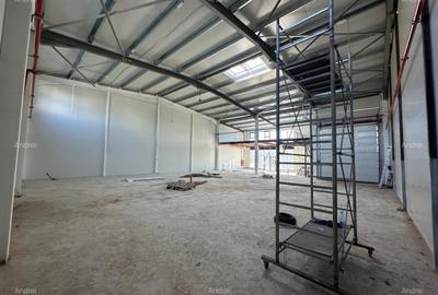 Spatiu depozitare si showroom Stefanestii de Jos A 3 - 3