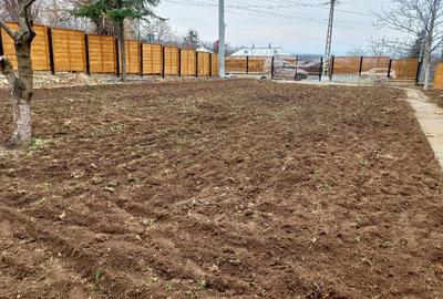 Spațiu comercial, în Bucium - 11