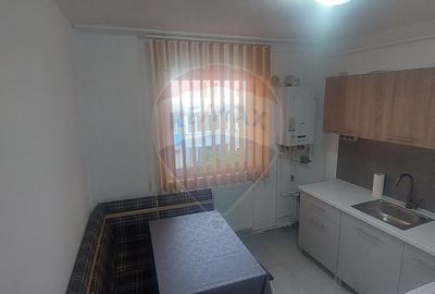 Apartament 1 camere de inchiriat in zona Buziasului - 2