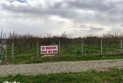 Teren de 5800 mp, în Bălțați - 1