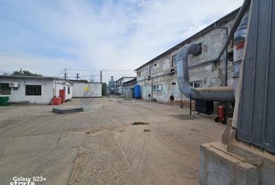 Spațiu comercial, de 5,500 mp, în Borș - 14