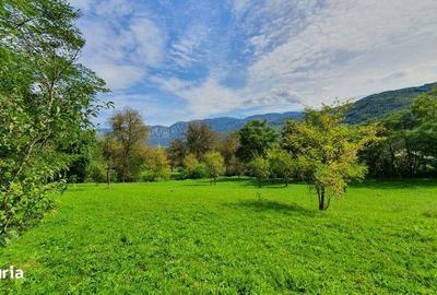 Teren de 2200 mp, în Sălciua - 7