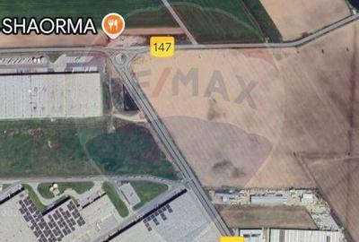 Teren de 66667 mp, în Ulmi - 3