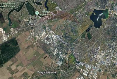 Teren Construcții intravilan de 10000 mp, în Dragomirești-Vale - 4