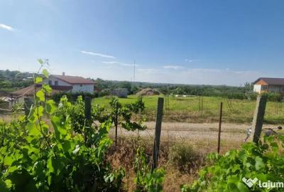 Teren de 1100 mp, în Nufăru - 2