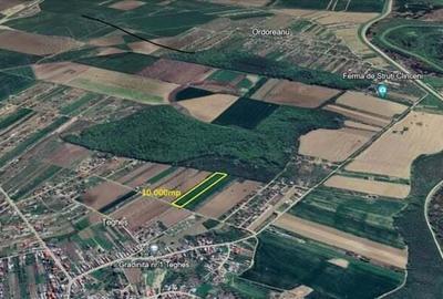Domnesti Teghes - teren de vanzare parcelat - 10.000mp cu deschidere la padure Domnesti Teghes - teren de vanzare parcelat - 10.000mp cu deschidere la padure - 2