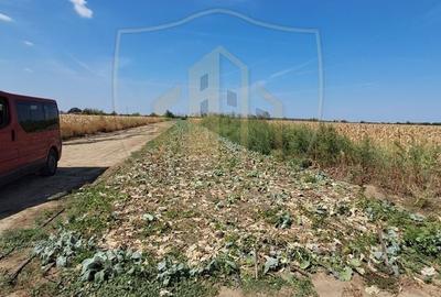 Teren agricol intravilan de 2470 mp, în Copăceni - 2